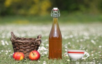 Visit a cider factory