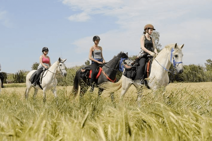 Horse riding Horse riding