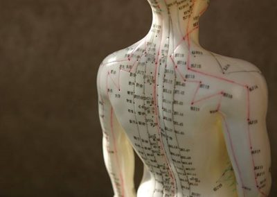 energy flow therapy meridiens